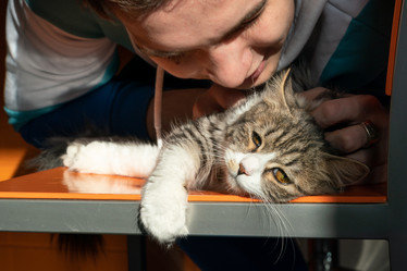 Similar image 21119337