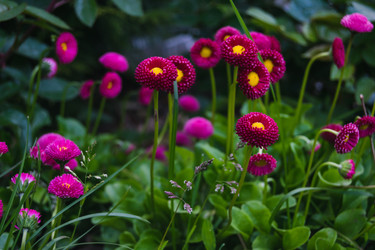 Similar image 21114553