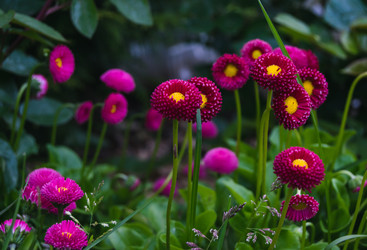 Similar image 21114554