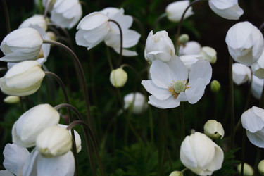 Similar image 21114555