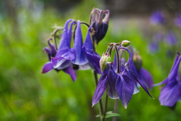 Similar image 21114559