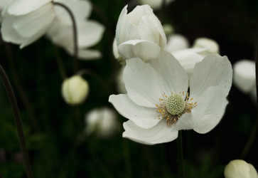 Similar image 21114560