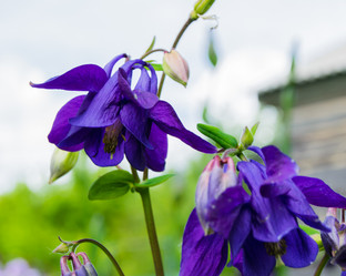 Similar image 21114566