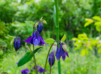 Similar image 21114567