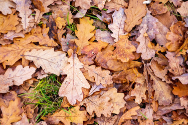 Similar image 21114628