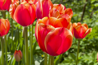 Similar image 21114568