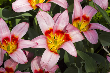 Similar image 21114570