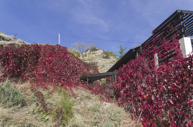 Similar image 21114571