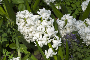 Similar image 21114572