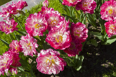 Similar image 21114574