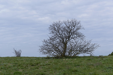 Similar image 21114581