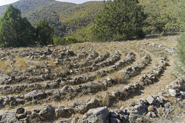 Similar image 21114582