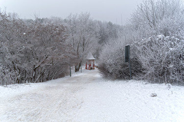 Similar image 21114587