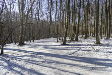 Similar image 21114588