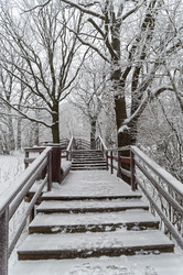 Similar image 21114590