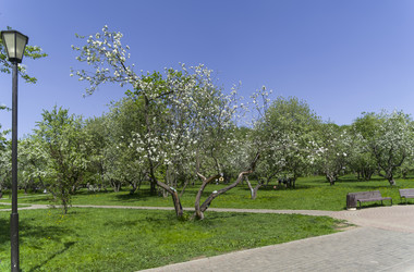 Similar image 21114594