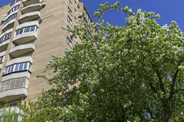 Similar image 21114595