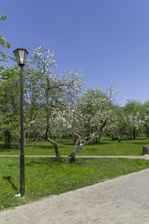 Similar image 21114596