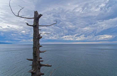 Similar image 21114598