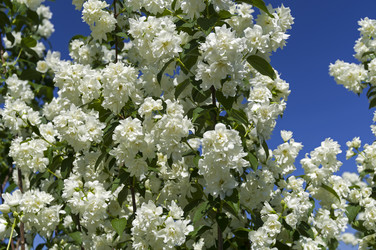 Similar image 21114600