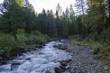 Similar image 21114605