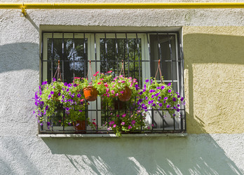 Similar image 21114617