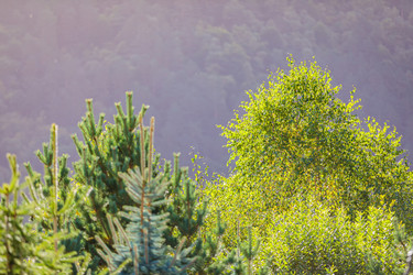 Similar image 21115587