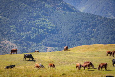 Similar image 21115598