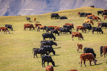 Similar image 21115600