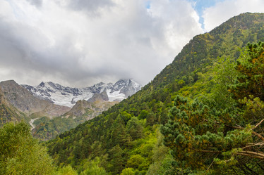 Similar image 21115223