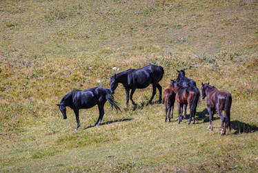 Similar image 21115610