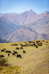 Similar image 21115611