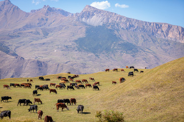 Similar image 21115231