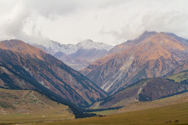 Similar image 21115235