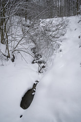 Similar image 21115193