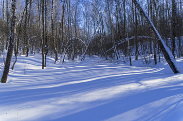 Similar image 21115195