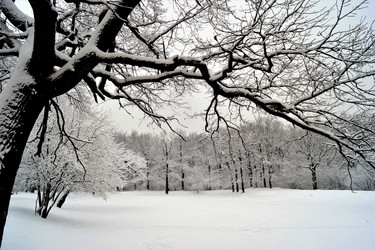 Similar image 21115246