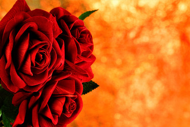 Similar image 21115247