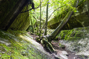 Similar image 21119911