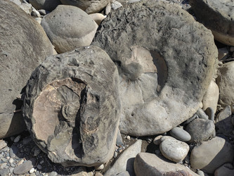 Similar image 21115251