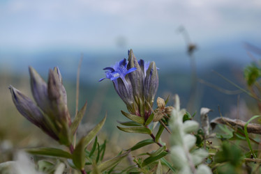 Similar image 21118329