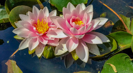 Similar image 21115253