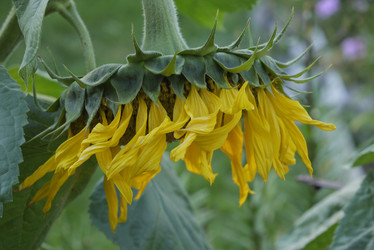 Similar image 21115255