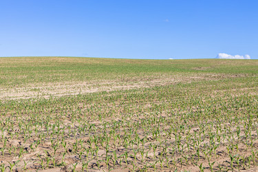 Similar image 21120149