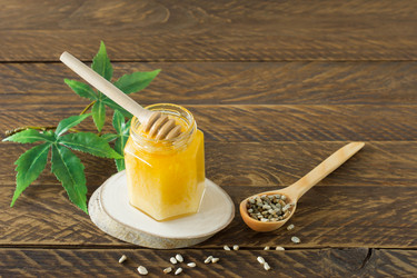 Similar image 21119049