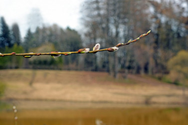 Similar image 21117124