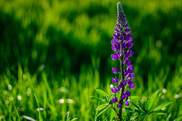 Similar image 21131163