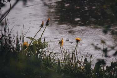 Similar image 21131165