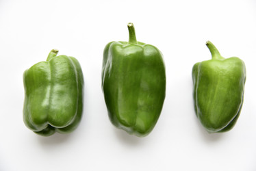 Similar image 21115619