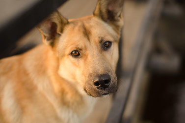 Similar image 21118263